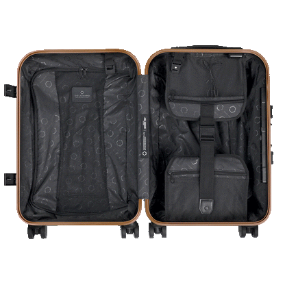 [DEV] Carry-On Closet Original - Precious Metals