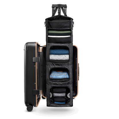 [DEV] Carry-On Closet Original - Precious Metals