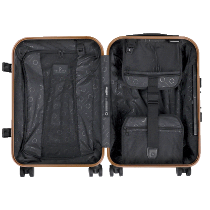[DEV] Carry-On Closet Original - Precious Metals