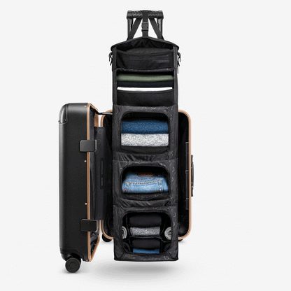 [DEV] Carry-On Closet Original - Precious Metals